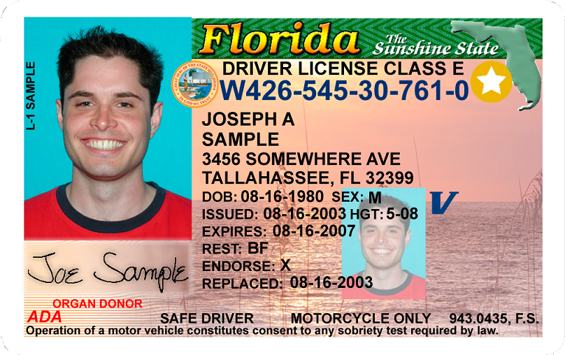How To Find Original Issue Date Of Florida Drivers License Trueefiles